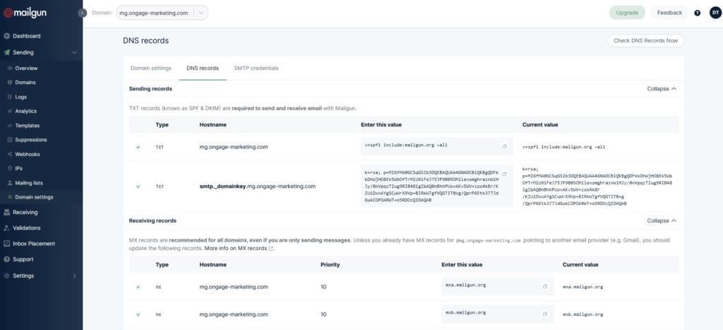 An authenticated domain on the Mailgun dashboard